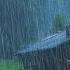 Rain Sounds For Sleeping Sound Of Heavy Rainstorm Thunder In The Misty Forest At Night