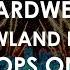 Hardwell Tomorrowland Brasil 2024 DROPS ONLY