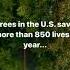 DYK Trees Save Lives