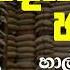 ද ය යන ග හ ල Dhananath Fernando