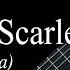 Million Scarlet Roses Fingerstyle Lesson TAB