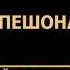 ПАЙГАМБАРИМИЗ МУХАММАД С А В НИ ХАЁТИ НУРИДДИН ХОЖИ ДОМЛА