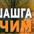 Тақдири азал тақдири саййид Яхши яшашга ишончим қолмаган эди