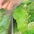 Lettuce The Most Delicious Salad For All Our Young People Who Are Starting To Cook