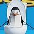 Penguin Roblox Skibiditoilet