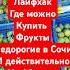 Лайфхак где купить в Сочи вкусные и не дорогие фрукты топ еда фейхоа россия лайфхак Fruit