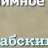 Сура 64 ат Тагабун арабские и русские титры Мухаммад Люхайдан