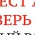 НЕМЕЦКИЙ ТЕСТ А2 Что нужно знать на уровень А1 Goethe Проверить свои знания Грамматика