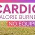 10 MIN CARDIO WORKOUT To Burn Lots Of Calories No Jumping For Seniors Beginners