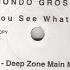 Mondo Grosso Do You See What I See Deep Zone Main Mix