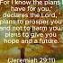 Jeremiah 29 11