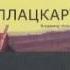 Владимир Козлов Плацкарт 1 я глава аудиокниги читает автор