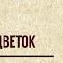 Александр Сергеевич Пушкин Цветок Читает Галина Соловей