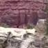 Onlookers Scream As Woman Falls To Her Death At The Grand Canyon