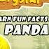 Panda Bear Facts