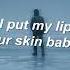 Timmies Soft Skin Lyrics Ft Shiloh Dynasty