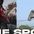 EXTREME SPORTS COMPILATION 2023 Extreme Sports