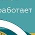 Электронный путевой лист что это и как работает