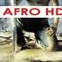 ARAHAN DJ AFRO BEST STREET ACTION MOVIE