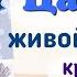 Краткий пересказ 8 Царство живой природы Биология 5 класс Пономарева