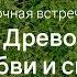 Девичник Древо любви и силы Аудиозапись живой встречи Женская Санга