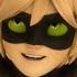 Never Say Never Cat Noir Adrien Miraculous Ladybug Amv