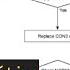 ESQUEMA ELÉTRICO BORD LAYOUT E TROUBLESHOOTING