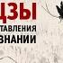 Д Дейч Чжуан Цзы и современные представления о личности и сознании