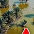 Sahara Desert Was Dry For 50 Years Now It S Flooded How Come