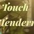 The Touch Of Tenderness