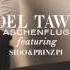 Aschenflug Adel Tawil Feat Sido Prinz Pi