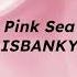 Pink Sea ISBANKY Spanish Lyrics Español