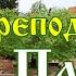 Молитва святому преподобному Паисию Святогорцу Аудио текст на экране