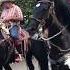 Dancing Horses 2019 FFA Twilight Parade Highlight Once Again Healdsburg CA 5 23 19