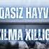 1 6 Umurtqasiz Hayvonlarning Xilma Xilligi