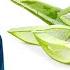 The Health Benefits Of Aloe Vera Aloe Vera For Skin And Digestion Dr Berg