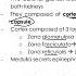 Adrenal Gland Hormones Introduction