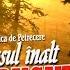 NELUTA BUCUR La Casa Cu Cosul Inalt Album Integral Oficial Audio