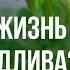 Почему кому то все дается легко а кому то с испытаниями