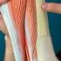 Understanding SHIN SPLINTS And How To Fix It