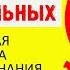 ВСЁ О СКЛОНЕНИИ ПРИЛАГАТЕЛЬНЫХ