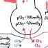 Blood Gases O2 CO2 And ABG