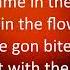 Migos Avalanche Lyrics