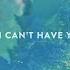 Shawn Mendes If I Can T Have You Official Lyric Video