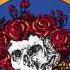 Grateful Dead Mama Tried Grateful Dead Skull Roses 1971