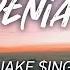 JAKE ING Denial Lyrics HD