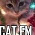 Cat FM Radio Rebooted Christmas 2024 Broadcast