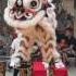 Genting Lion Dance 2017 Central Region Champion