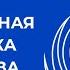 Спиральная динамика лидерства Базовые уровни