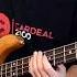 Red Hot Chili Peppers Can T Stop Bass Cover By Renan